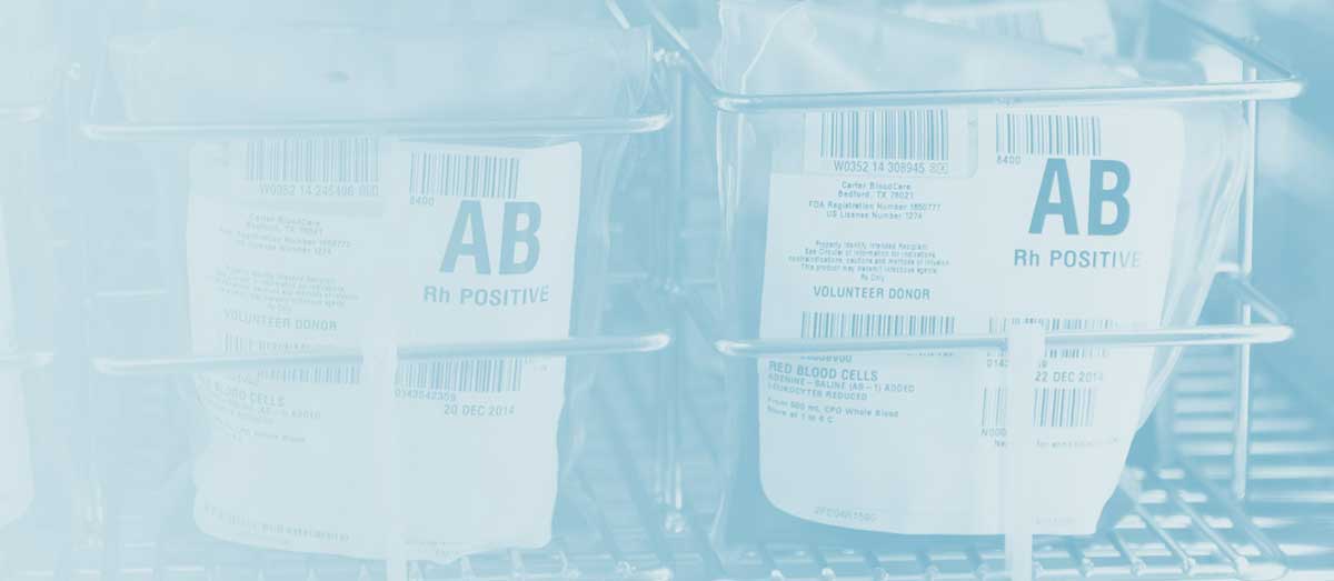 Bags of donated blood