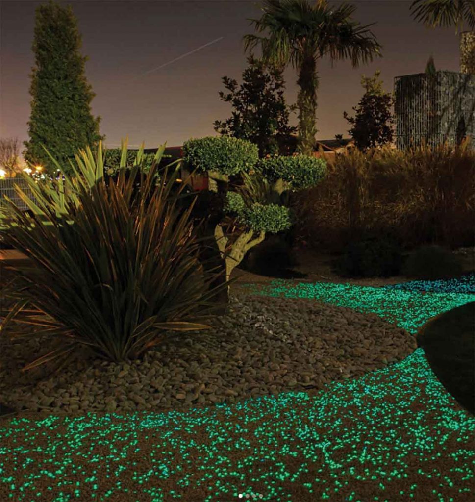 A glow in the dark garden at night
