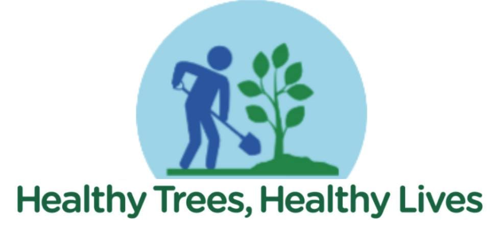 Shade Ennis Logo